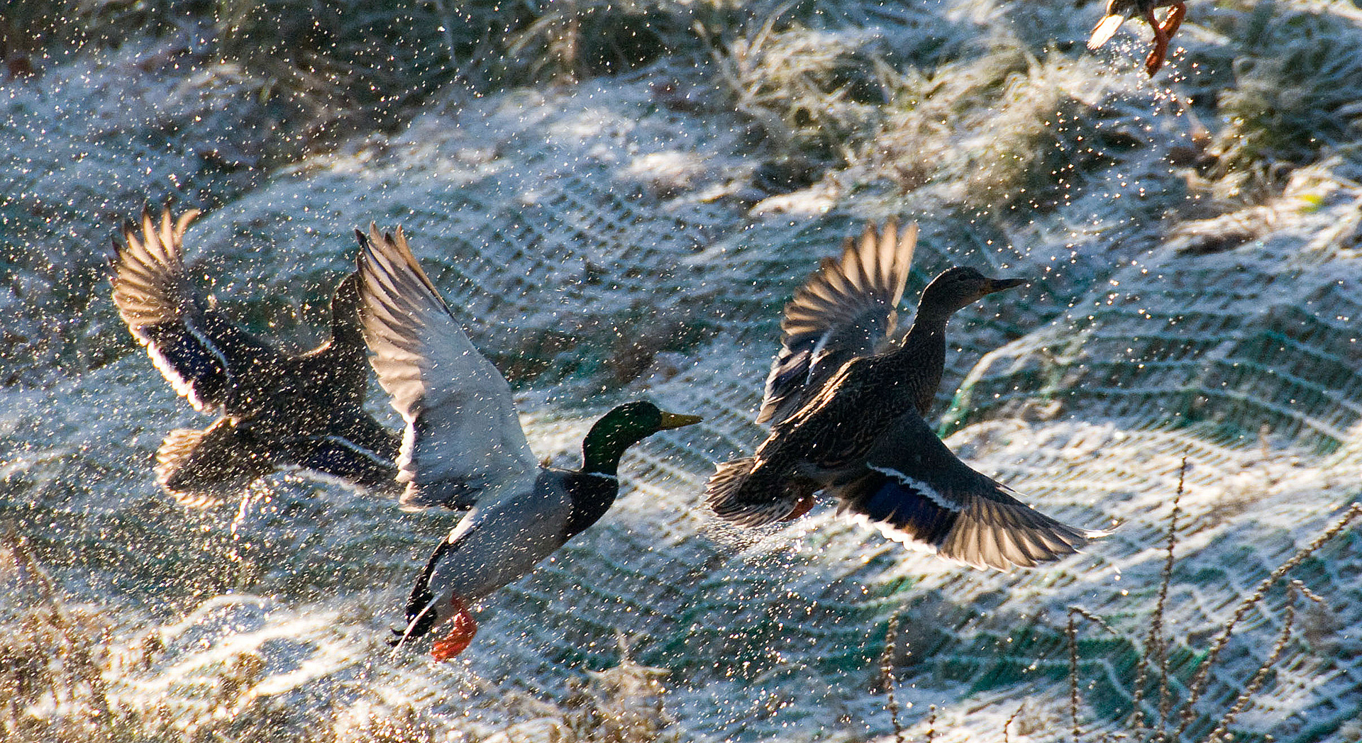 srebrny-klon-pensjonat-kaszuby-salon-10